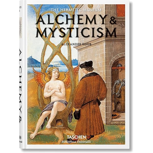 Amazon.com: The Black Sun: The Alchemy and Art of Darkness